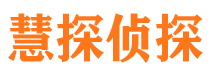 鱼峰市侦探调查公司